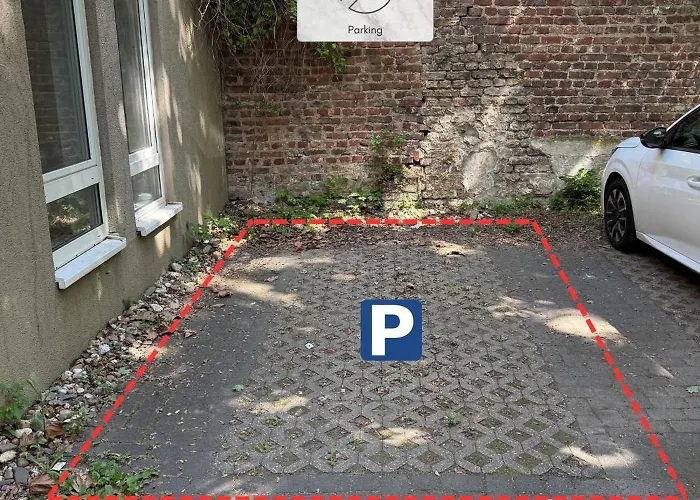 Cozy Premium With Free Parking! New! *